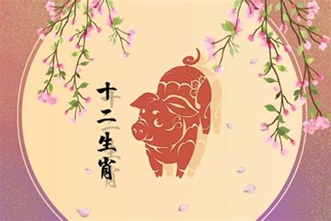 屬豬的貴人|屬豬的貴人是什麼生肖？虎、羊、兔相助運勢旺 